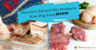 Chewy carries most of the top raw dog food brands, including stella & chewy's, instinct raw, wellness core rawrev and more. Best Raw Dog Food Reviews Darwin S Natural Pet Products Raw Dog Food Review Raw Dog Food Recipes Raw Dog Food Diet Dog Food Recipes