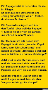 Ein Papagei Sitzt In Der Ersten Klasse Im Flieger Witzige Spruche Witze Spruche Witze