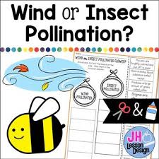 Insects worksheets for teaching and learning in the classroom or at home. Wind Or Insect Pollination Cut And Paste Sorting Activity By Jh Lesson Design