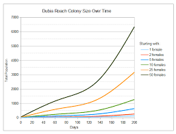 How Many Dubia Roaches Does It Take To Start A Colony