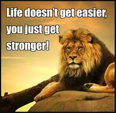 Sign In Lion Quotes Like A Lion Animals