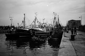 Image result for Gray 1984 Fleet