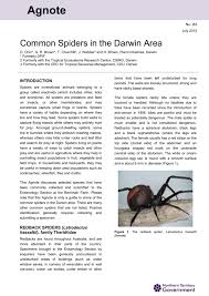Their venomous bite often produces muscle pain, nausea, and mild paralysis of the diaphragm. Spiders In The Darwin Area