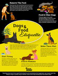 Puppies love to chew and bite! Dog Behavior Training Training Food Etiquette In Dogs