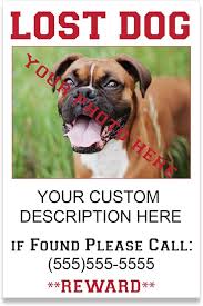 Image result for lost dog