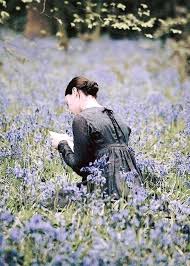 Ana Rosa Lavande Lecture Et Fleurs Sauvages
