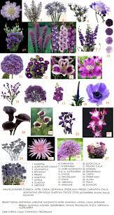 Second In Our Series On Color Purple Purple Wedding Flowers Purple Flowers Flower Guide