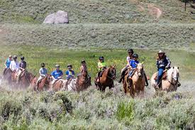 A vacation to yellowstone is often seen as the perfect way to spend a family vacation, but it involves a lot of planning. Tips For A Family Trip To Yellowstone Metrofamily Magazine