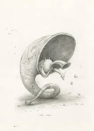 Shaun Tan The Lost Thing Shaun Tan Art Sketches Disney Concept Art