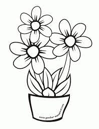 Mawar, tulip, kamboja, anggrek, edelweiss, lavender, bougenville, yang cantik, indah dan terbaru. Gambar Bunga Cantik Dan Mudah Digambar