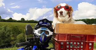 Die rosarote brille kehrt zurück! Wie Lange Halt Ein Motorradhelm Motorradbekleidung Net