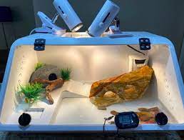 An indoor turtle aquarium tank can provide your aquatic species with a suitable home to live a happy and healthy live; Just 15 Things To Make Your Pet Turtle Happy