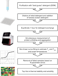 High Throughput Stability Screening For Detergent