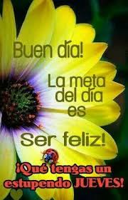 Religión día santo judío en el que se prescribe la oración y se prohíbe todo trabajo que implique lucro o esfuerzo físico. Feliz Sabado Toluna