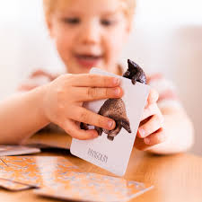 Snap & Go Fish Africa