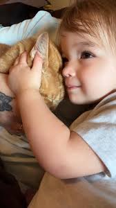 Remember these two? Oregano is still completely obsessed with her… best  kitty in the whole world ❤️ thank you, Purring Hearts 💕😻