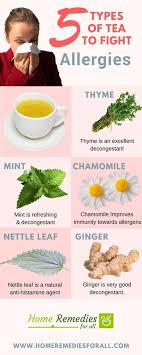 5 Tea For Allergies Infographic Allergy Remedies For Kids Natural Remedies For Allergies Allergy Remedies