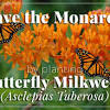 Butterfly garden ideas and gardening tips to attract monarchs, swallowtails, hummingbirds find more monarch magnets on our butterfly flowers page. Https Encrypted Tbn0 Gstatic Com Images Q Tbn And9gcsur8n3l6k5pkxukwyf1rmwhaf5hggi4vxhavh3 Ft416reowu Usqp Cau