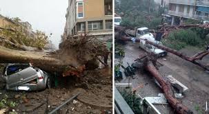 Di ansa • ultimo aggiornamento: Furia Maltempo Sull Italia 7 Morti Caos Alberi In Veneto 160mila Senza Luce