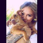 Abbey Traylor's Instagram, Twitter & Facebook