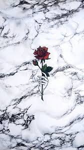 Download 40 Sfondo Storie In Evidenza Marmo Imposta l'atmosfera per il tuo storia con questo app di fotomontaggio per ragazze editor di foto di storie carta da parati di marmo social media marketing gratuito creatore di highlight della storia. sfondo storie in evidenza marmo