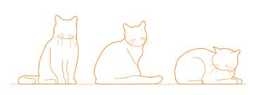 Simple sleeping cat drawing how to draw a cartoon cat sitting cat drawing sleeping cat how to draw a cat laying down easy cute sleeping cat drawing thanks. British Shorthair Cat Dimensions Drawings Dimensions Com