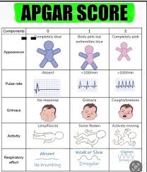 Image result for APGAR Score