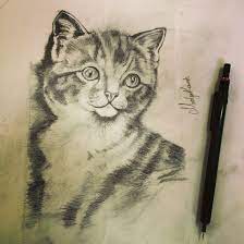 karakalem kedi cizimi cizim hayvan karakalem cizimler