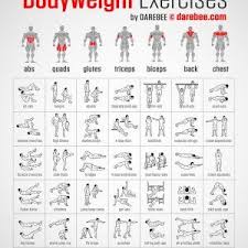 Exercise Charts New Muscle Map Work At Home Dumbbell