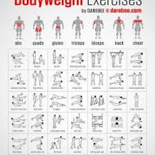 exercise charts new muscle map work at home dumbbell