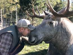 Djurparksdrömmen måste pausas