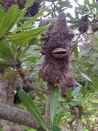 Mornington Peninsula Daily Photo September 2010