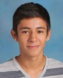 Boys soccer: Lake County all-area team