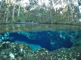 31 reviews of chassahowitzka river campground great place to rent a kayak and paddle for hours on florida's nature coast. The Journey To The Chassahowitzka S Crack