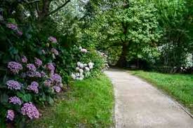 Alter botanischer garten munich.jpg 5,376 × 3,024; Alter Botanischer Garten In Kiel Ausflugsziele Fur Kinder In Schleswig Holstein