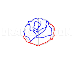 A classmate asked me to draw this for him because he wants this as a tattoo. How To Draw A Rose Tattoo Step By Step Drawing Guide By Dawn Dragoart Com