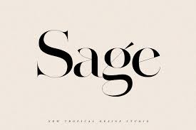 Download free serif fonts for commercial and personal use. The Modern Font Bundle Vol 2 Stunning Display Fonts Creative Market