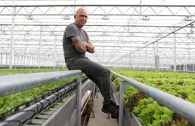 He's spent most of his life perfecting lettuce - The Boston Globe