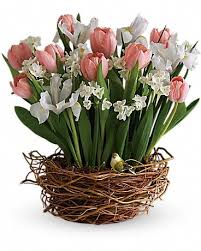 We did not find results for: Tulip Song In Penn Hills Pa Crescent Gardens Floral Shoppe
