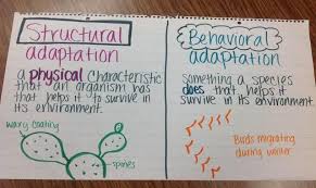 Instruct everyone to look at the image and their observations. Animal Adaptations Anchor Chart