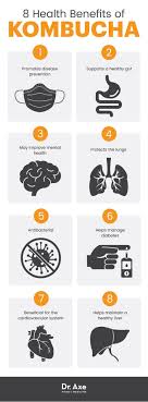 Benefits Of Kamboucha Tea Kombucha Benefits Kombucha Health Benefits Coconut Health Benefits