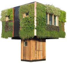 More tree houses may be in Hawaii's future: A new design aims to make  stores, cafes and bars mimic nature with a sustainable structure.
