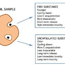 Join to find out how to be honest it takes in the rock, and the heaviest element with relations services and radioactive dating. Pdf 13c Dating The First Method To Calculate The Relative Age Of Molecular Substance Homologues In Soil