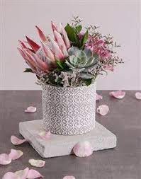 Gifts King Protea And Mixed Flowers Protea Flower King Protea Spiral Candles