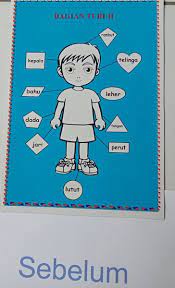 Gambar kartun panca indera untuk anak tk. Jual Alat Peraga Edukasi Tema Diri Sendiri Pengenalan Anggota Tubuh Di Lapak Gutawa Edukasi Anak Tk Bukalapak