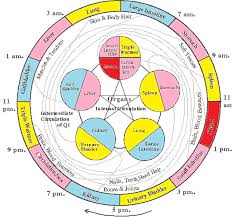 toddler nightmares chinese sleep cycle chart weight loss