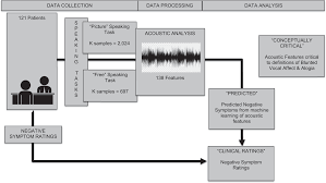 We did not find results for: Using Machine Learning Of Computerized Vocal Expression To Measure Blunted Vocal Affect And Alogia Npj Schizophrenia