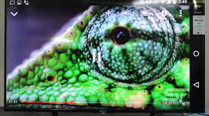 How To Get Setup Sony Bravia 4k Android Tv Screen Mirroring With The Lg Google Nexus 5 Android Tv Google Nexus Screen Mirroring