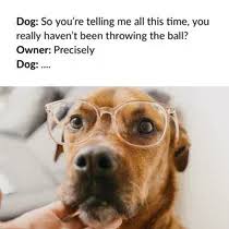 Petpet generator (pet the crewmate) meme. Free Meme Generator Make A Meme With Your Own Pictures Adobe Spark