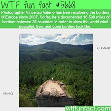 Wtf Fun Factss Wtf Fun Facts Fun Facts Weird Facts